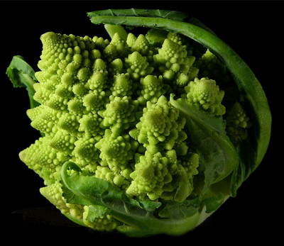 broccoli art